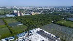 azitis.com a intermediat tranzacţii de 16 milioane euro în prima jumătate a anului